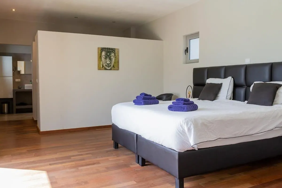 Stylish 4 Bedroom Modern Villa Design, Walking Distance From The Beach Jan Thiel